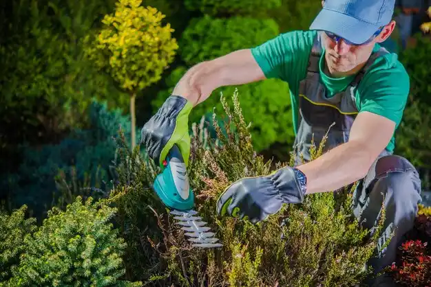 landscaping services Fairfield